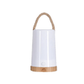 Wild Land High Lumen Jade