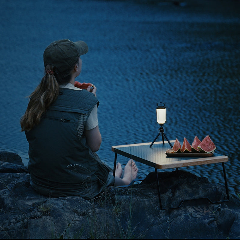Wild Land Mini light