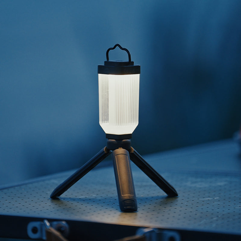 Wild Land Mini light