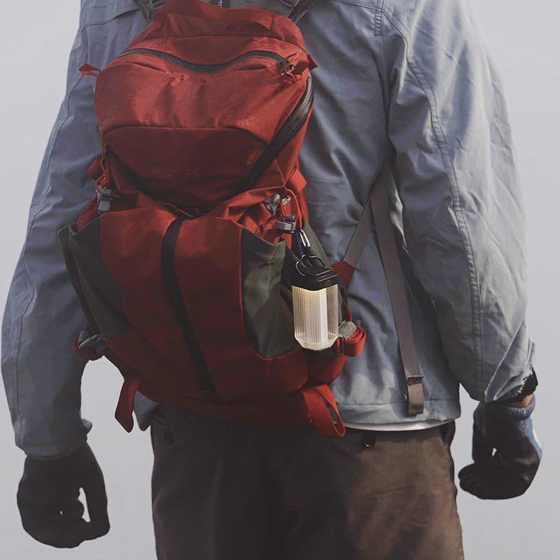 Wild Land Mini light