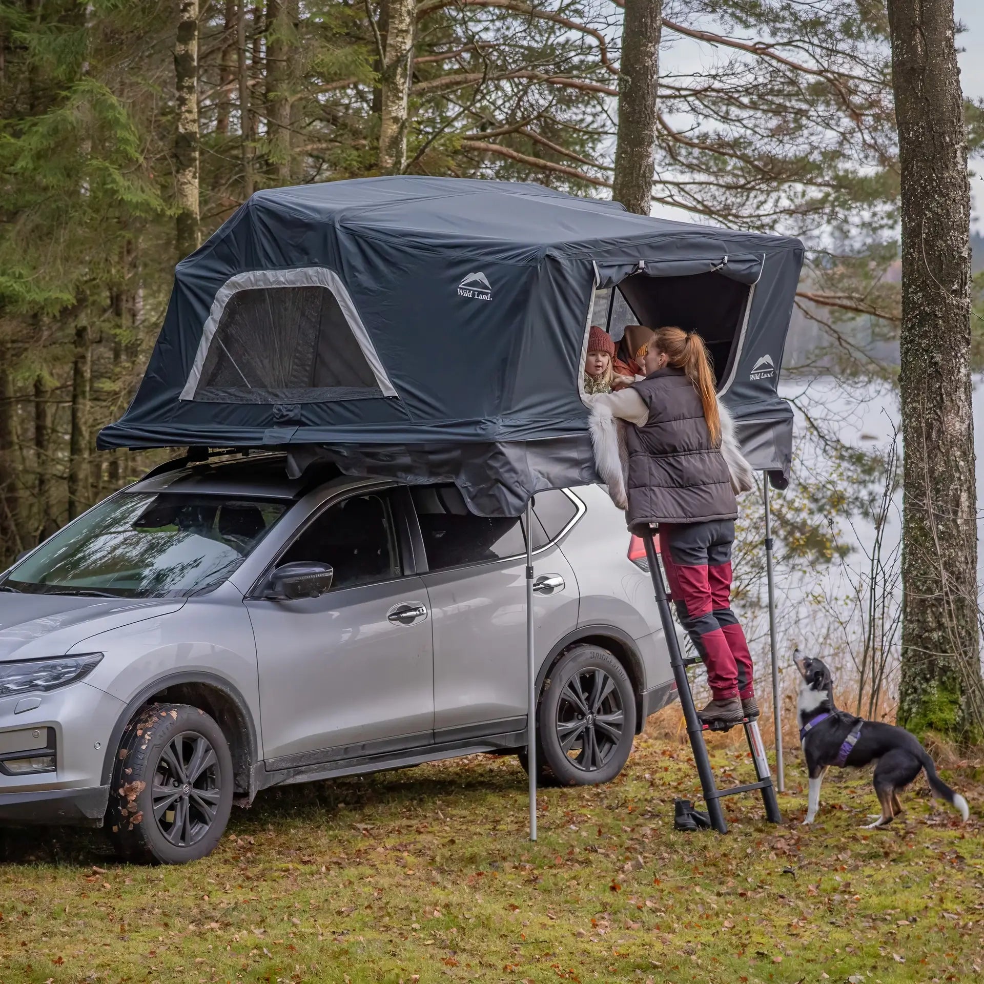 Wild Land Voyager PRO