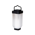 Wild Land Mini light